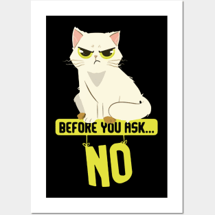 Before You Ask No Cat Mature Content Posters and Art